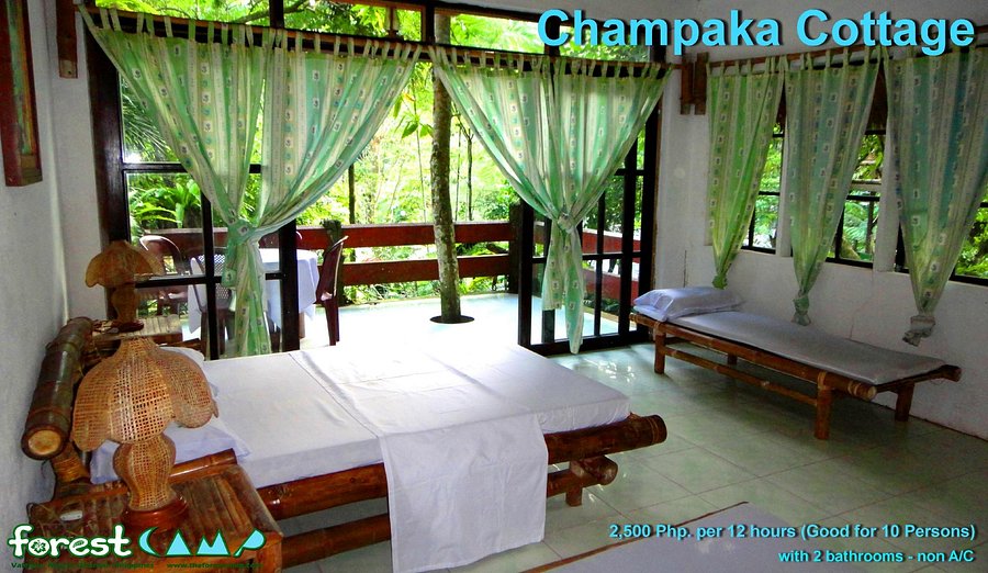 The Forest Camp Mountain Resort